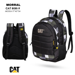 CAT8081