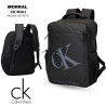 CK804